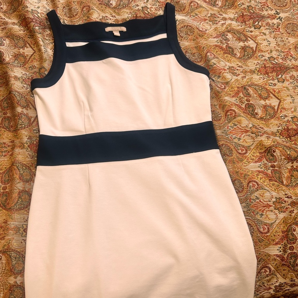 Sleeveless Navy and Cream Colorblock Sheath Dress